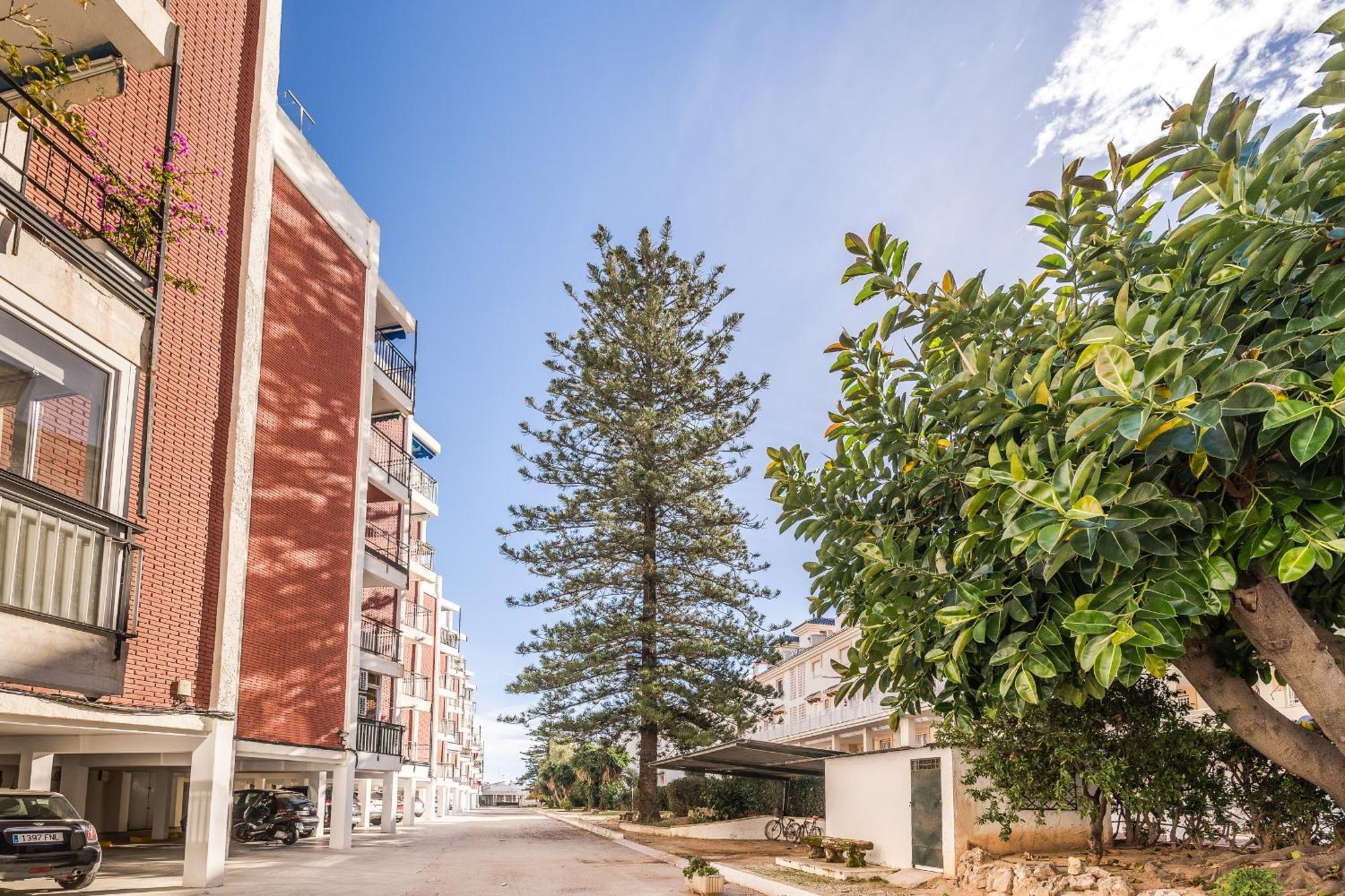 Apartamento Magico Javea Arenal Ngoại thất bức ảnh